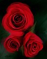 ROSES ARE RED by E. J. (Gene) PREDIKA