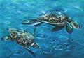 INTO THE BLUE by Simona PARINI